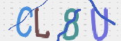 この文字を入力してください