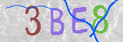 この文字を入力してください