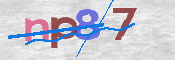この文字を入力してください