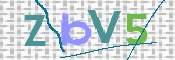 この文字を入力してください
