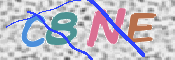 この文字を入力してください