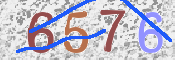 この文字を入力してください