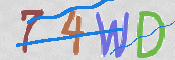 この文字を入力してください
