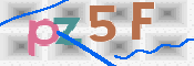 この文字を入力してください