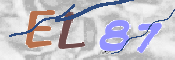 この文字を入力してください