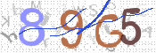 この文字を入力してください