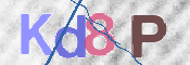 この文字を入力してください