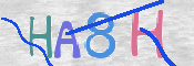 この文字を入力してください