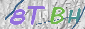 この文字を入力してください