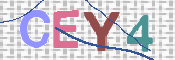 この文字を入力してください