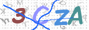 この文字を入力してください