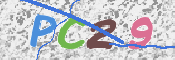 この文字を入力してください