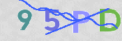 この文字を入力してください