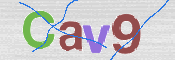 この文字を入力してください