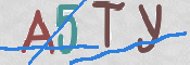 この文字を入力してください