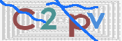 この文字を入力してください