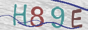 この文字を入力してください