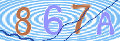この文字を入力してください