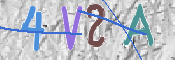 この文字を入力してください