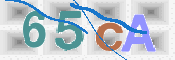 この文字を入力してください
