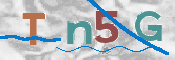 この文字を入力してください