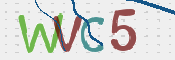 この文字を入力してください