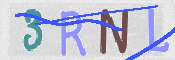 この文字を入力してください