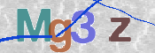 この文字を入力してください