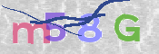 この文字を入力してください