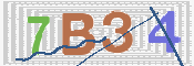 この文字を入力してください