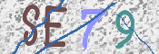 この文字を入力してください