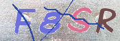 この文字を入力してください
