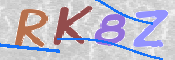 この文字を入力してください