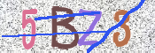 この文字を入力してください