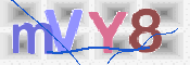 この文字を入力してください