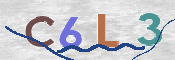 この文字を入力してください