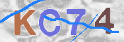 この文字を入力してください