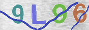 この文字を入力してください