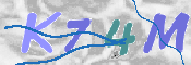 この文字を入力してください