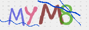 この文字を入力してください