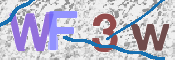 この文字を入力してください