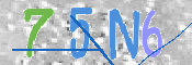 この文字を入力してください