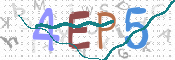 この文字を入力してください