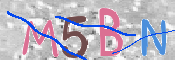 この文字を入力してください