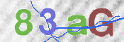 この文字を入力してください