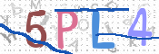 この文字を入力してください