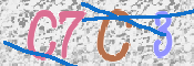 この文字を入力してください