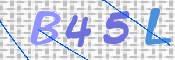 この文字を入力してください