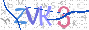 この文字を入力してください
