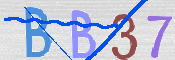 この文字を入力してください